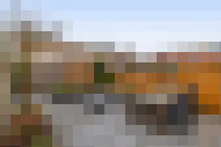 Karekiet 100 's-Gravenzande thumbnail 20