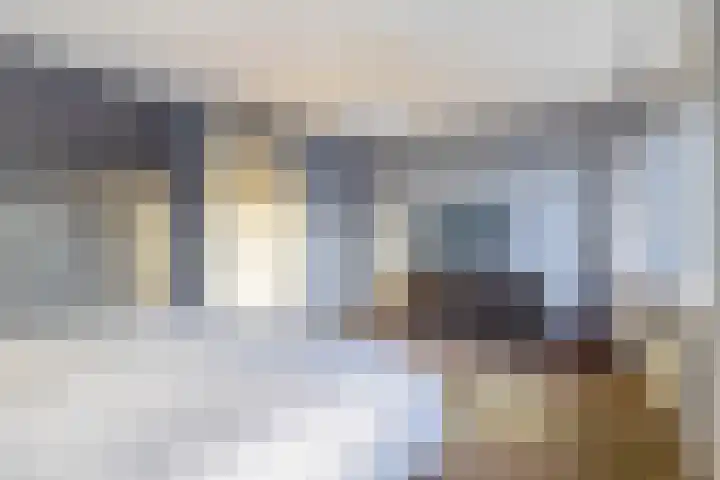 Karekiet 100 's-Gravenzande thumbnail 21