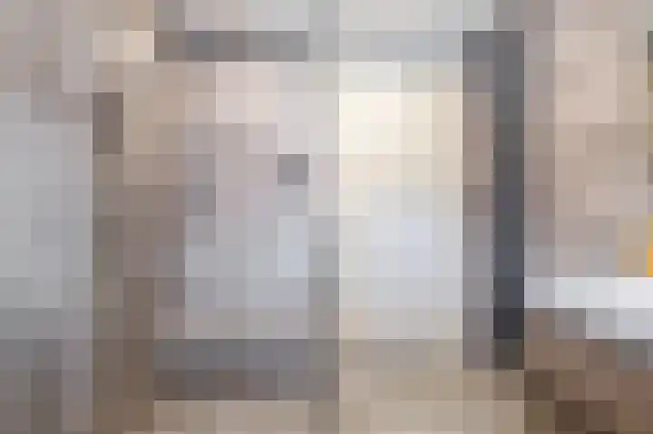 Karekiet 100 's-Gravenzande thumbnail 22