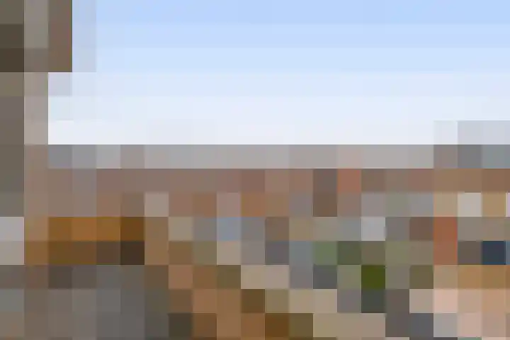 Karekiet 100 's-Gravenzande thumbnail 29