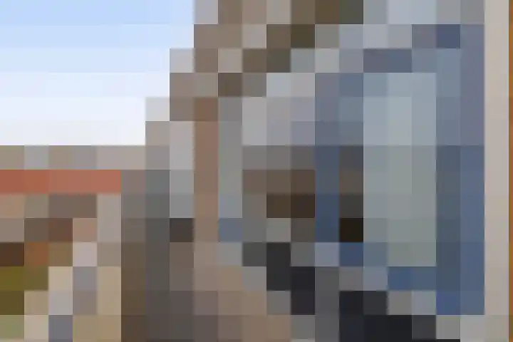 Karekiet 100 's-Gravenzande thumbnail 30