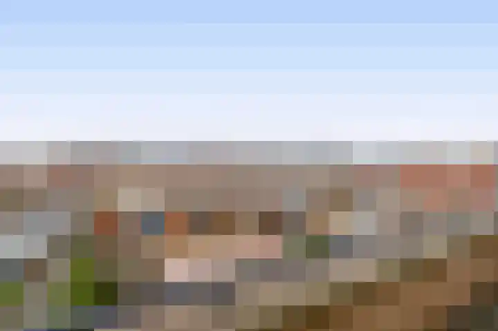 Karekiet 100 's-Gravenzande thumbnail 31