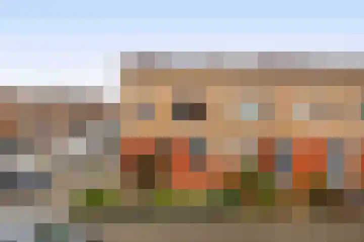 Karekiet 100 's-Gravenzande thumbnail 32