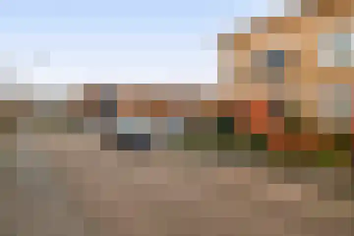 Karekiet 100 's-Gravenzande thumbnail 33