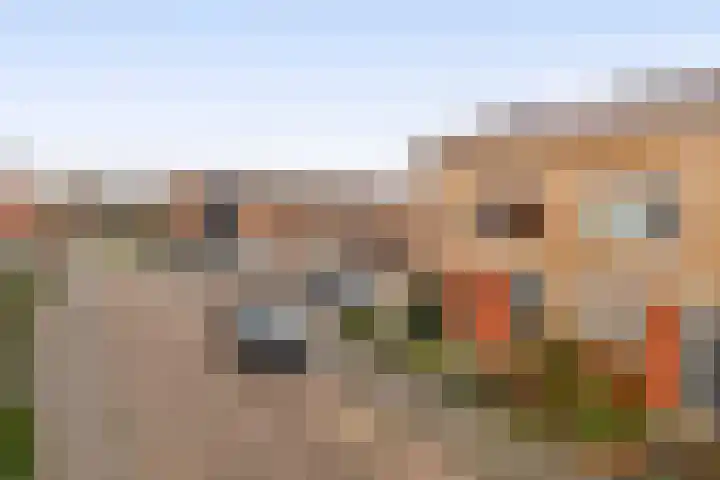 Karekiet 100 's-Gravenzande thumbnail 34