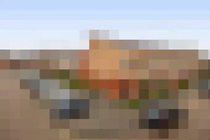 Karekiet 100 's-Gravenzande thumbnail 35
