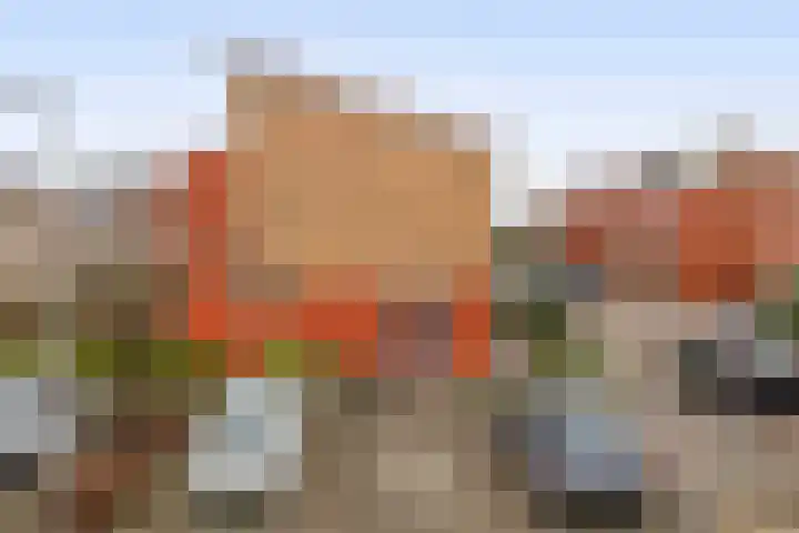 Karekiet 100 's-Gravenzande thumbnail 36