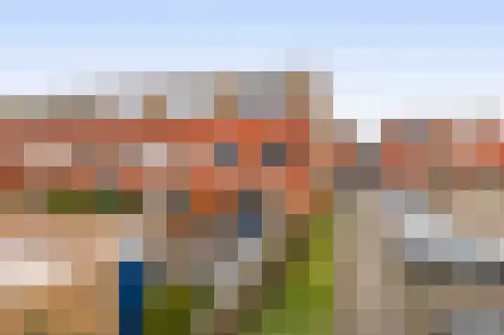 Karekiet 100 's-Gravenzande thumbnail 37