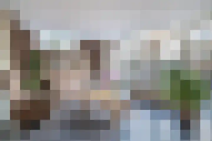 Karekiet 100 's-Gravenzande thumbnail 9