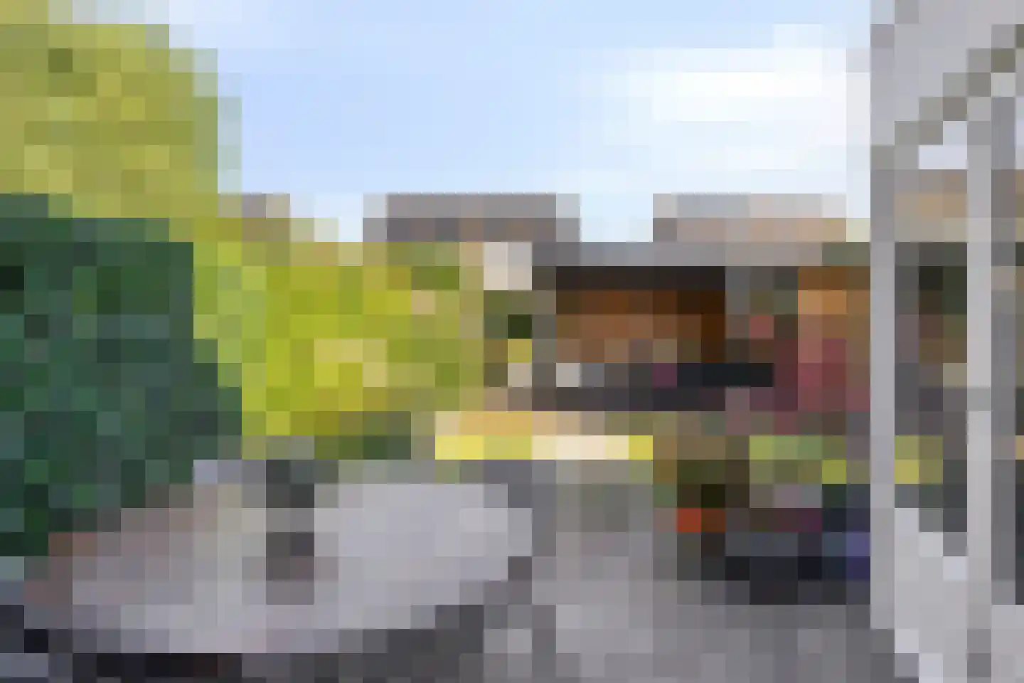 Karekiet 11 's-Hertogenbosch thumbnail 15