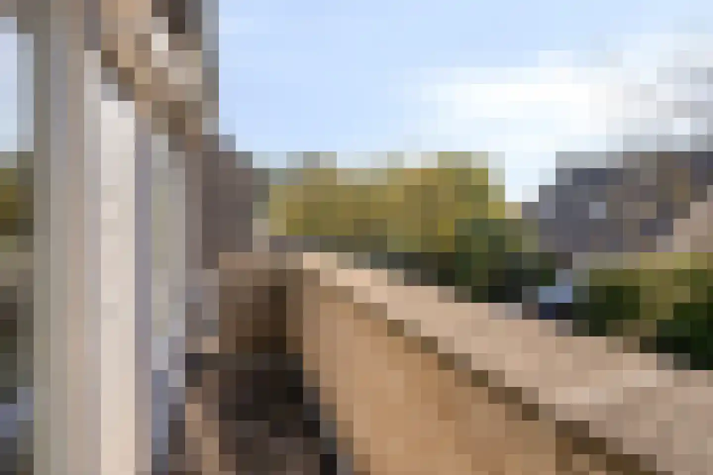 Karekiet 11 's-Hertogenbosch thumbnail 24