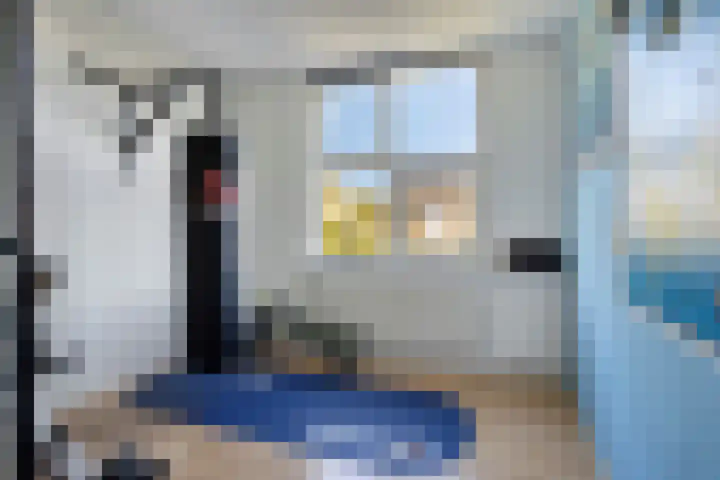 Karekiet 11 's-Hertogenbosch thumbnail 25