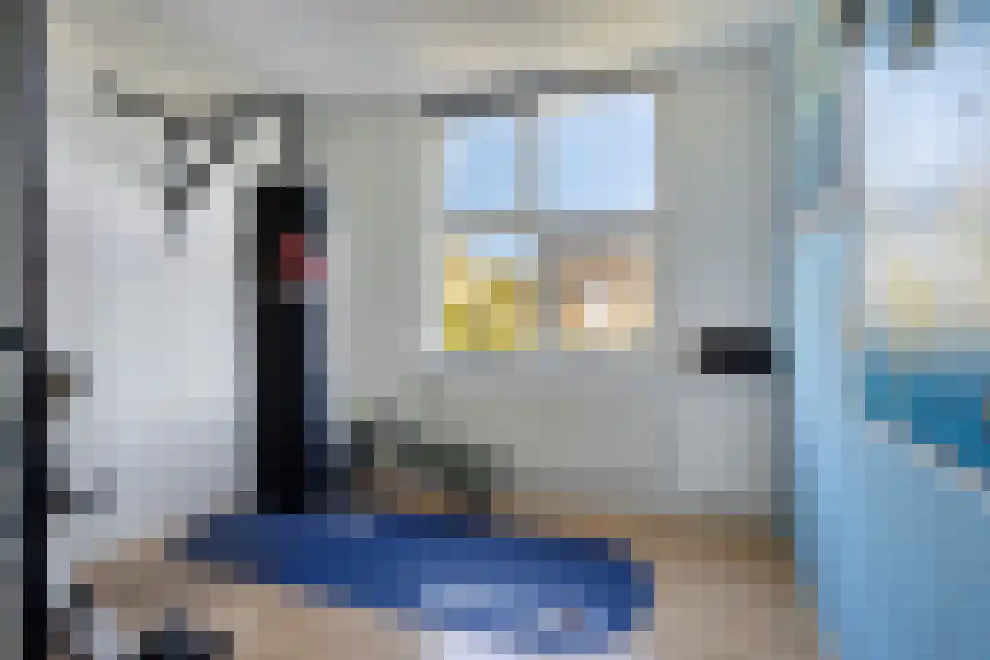 Karekiet 11 's-Hertogenbosch thumbnail 27