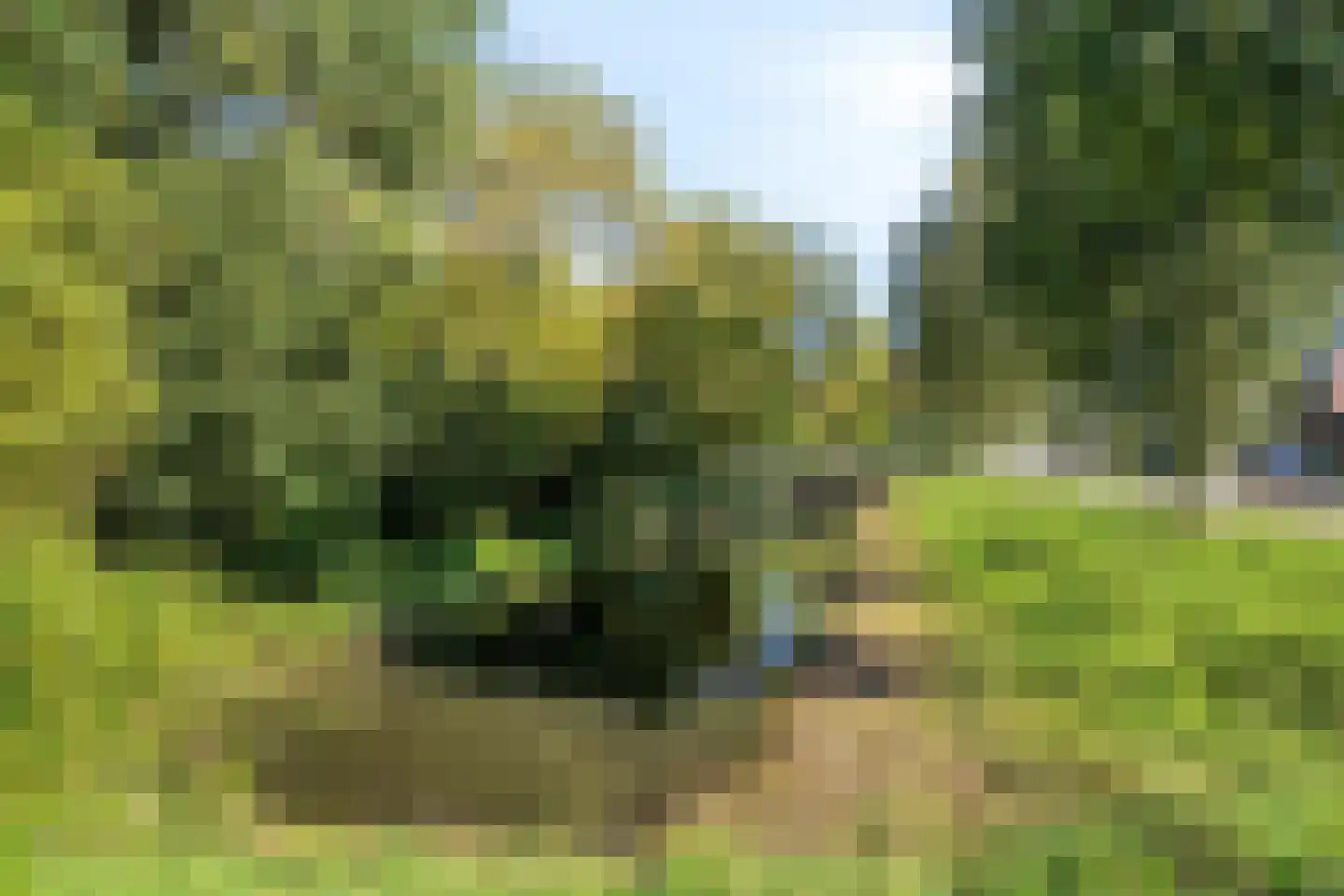 Karekiet 11 's-Hertogenbosch thumbnail 32