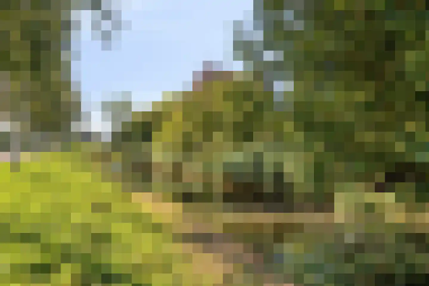 Karekiet 11 's-Hertogenbosch thumbnail 33