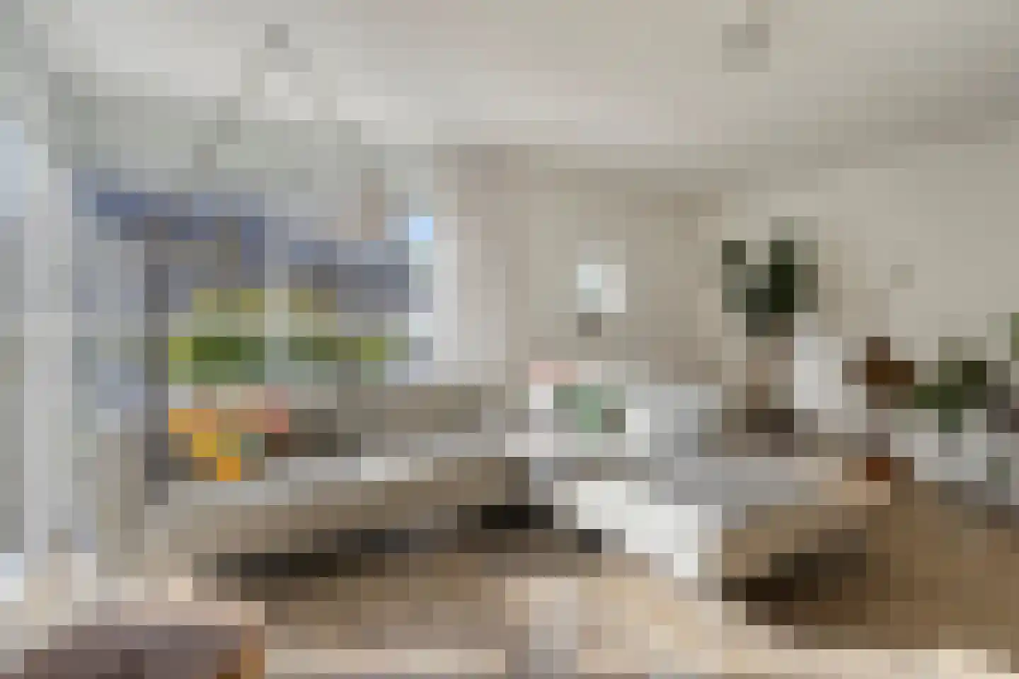 Karekiet 11 's-Hertogenbosch thumbnail 5