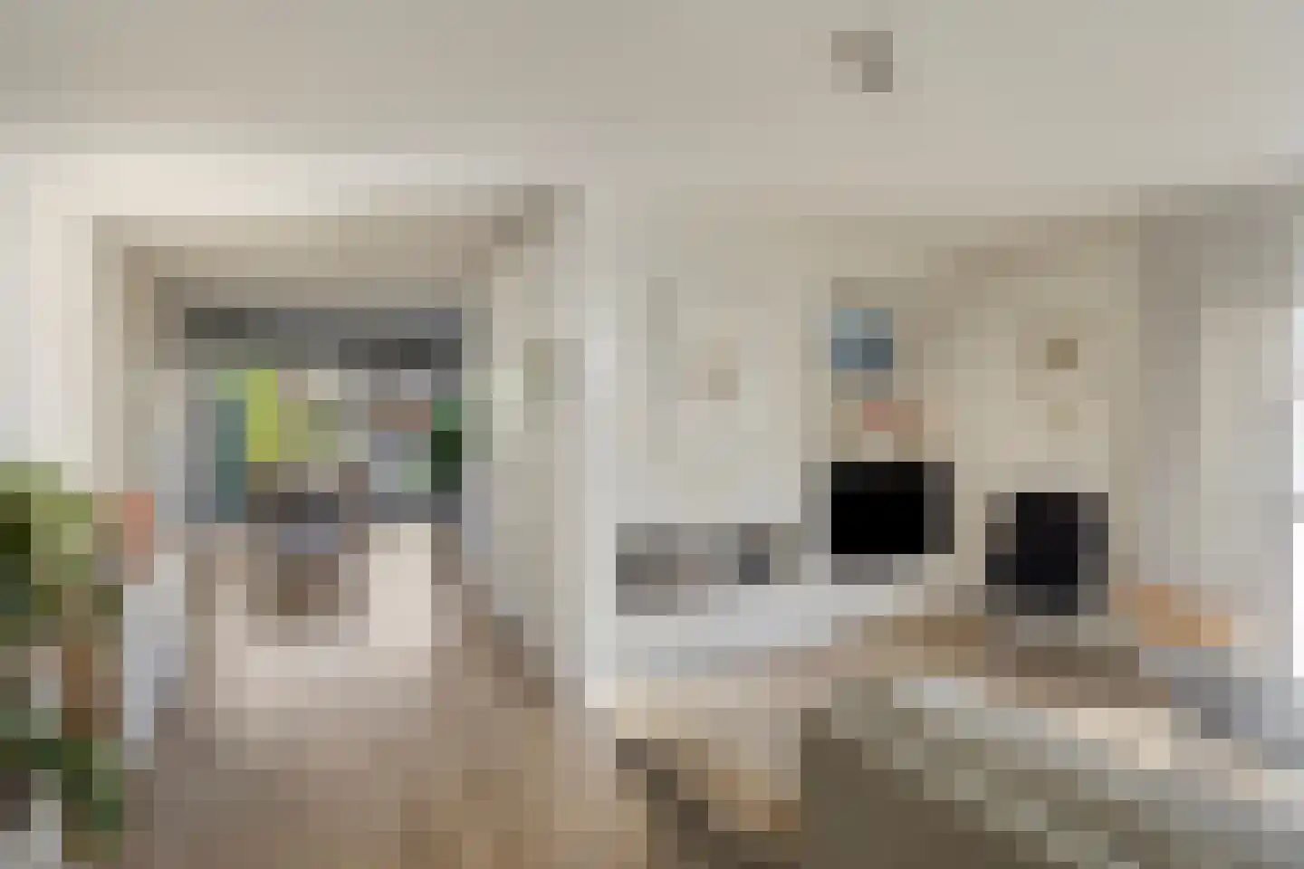 Karekiet 11 's-Hertogenbosch thumbnail 6