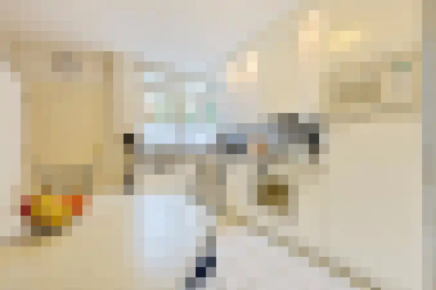 Karekiet 12 's-Hertogenbosch thumbnail 13