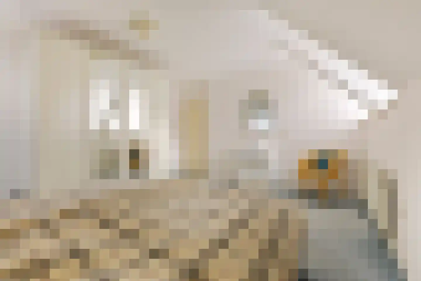 Karekiet 12 's-Hertogenbosch thumbnail 23