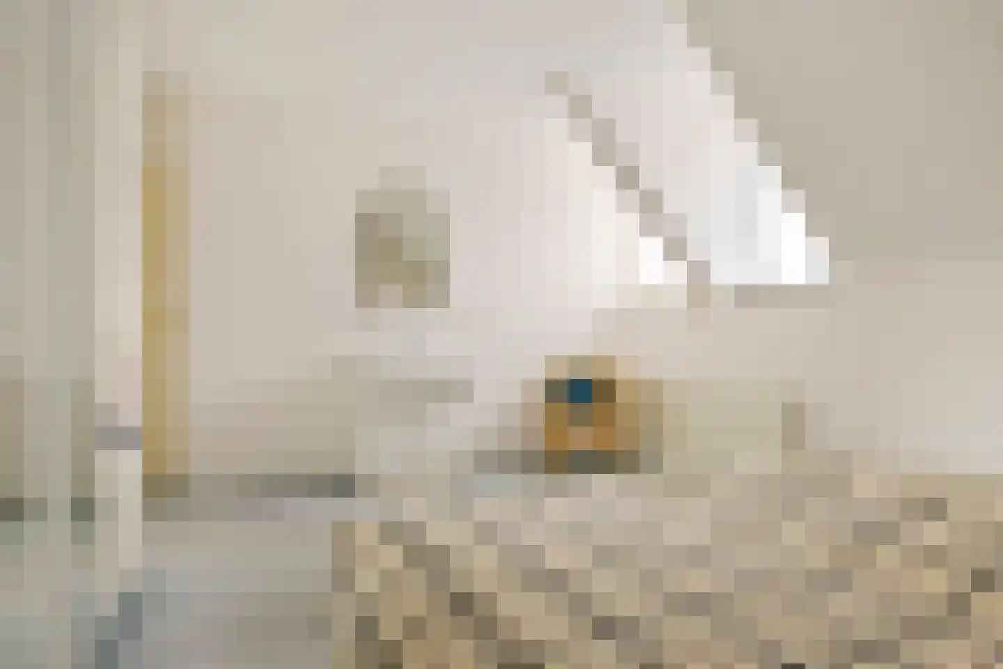 Karekiet 12 's-Hertogenbosch thumbnail 24