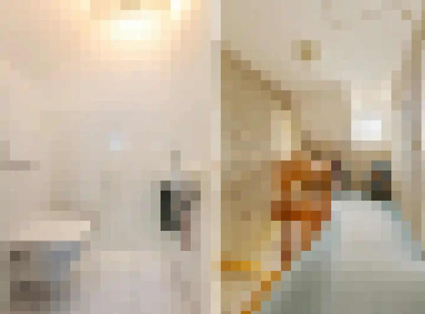 Karekiet 12 's-Hertogenbosch thumbnail 31