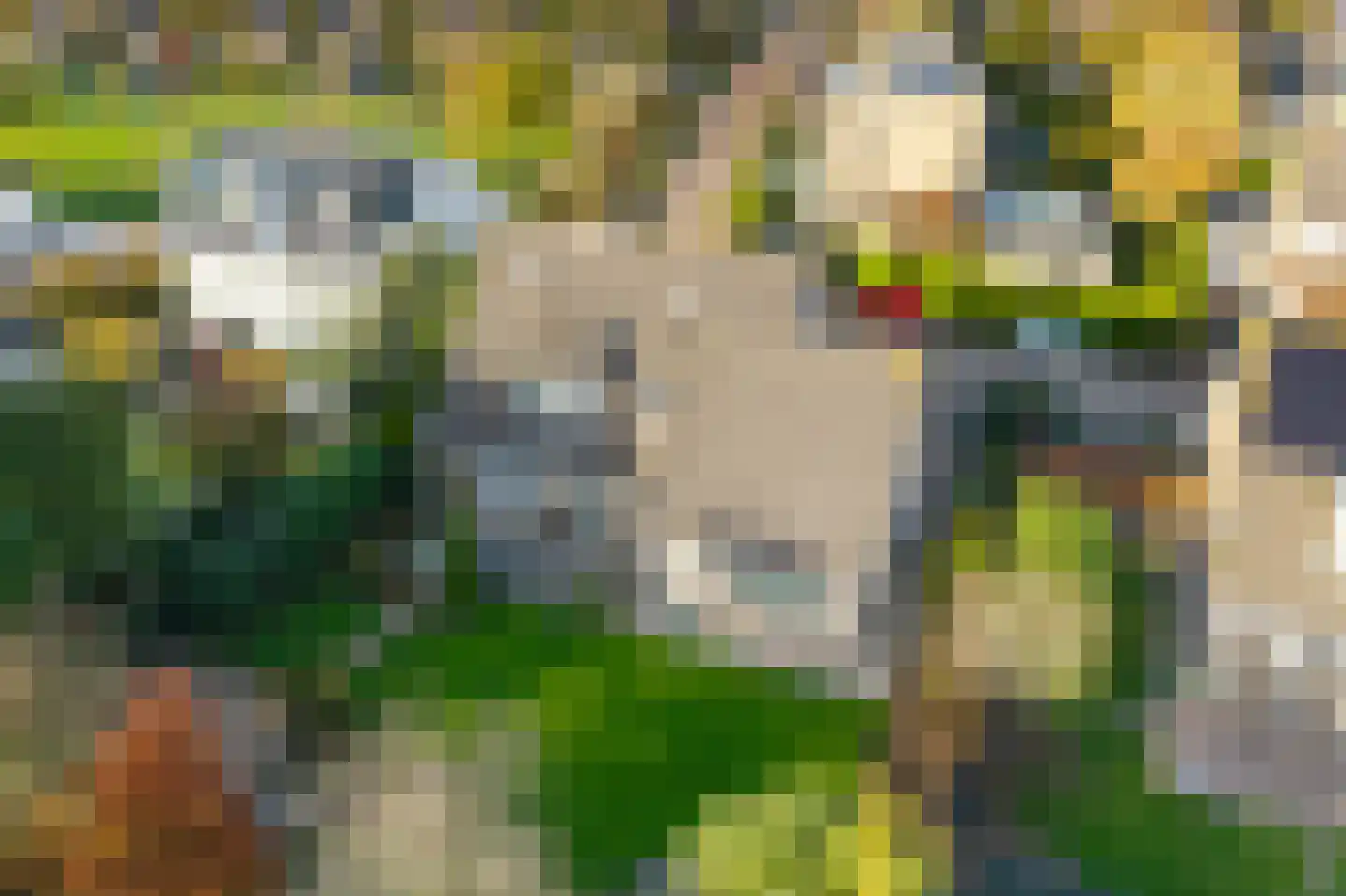 Karekiet 12 's-Hertogenbosch thumbnail 43