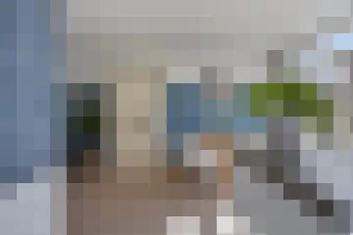 Karekiet 12 Sint Pancras thumbnail 11