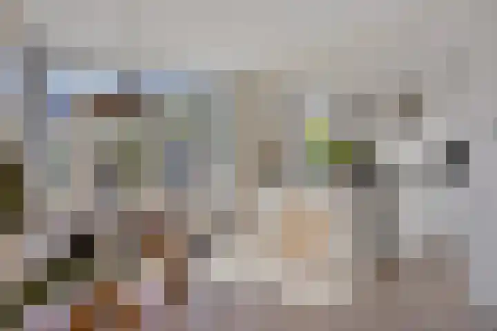 Karekiet 12 Sint Pancras thumbnail 12