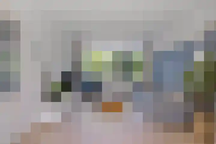 Karekiet 12 Sint Pancras thumbnail 14