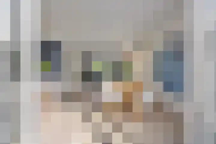 Karekiet 12 Sint Pancras thumbnail 17