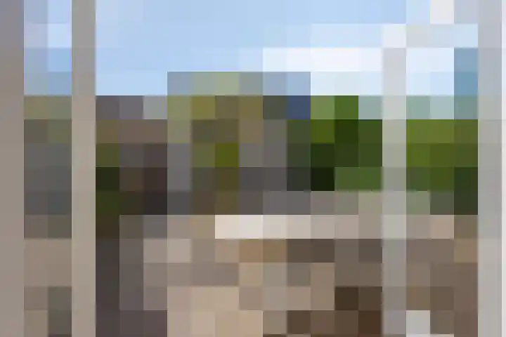 Karekiet 12 Sint Pancras thumbnail 18