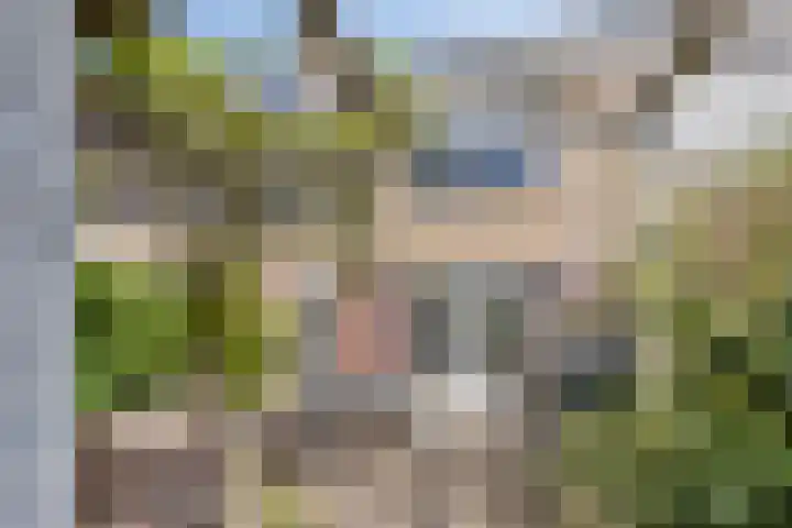 Karekiet 12 Sint Pancras thumbnail 20
