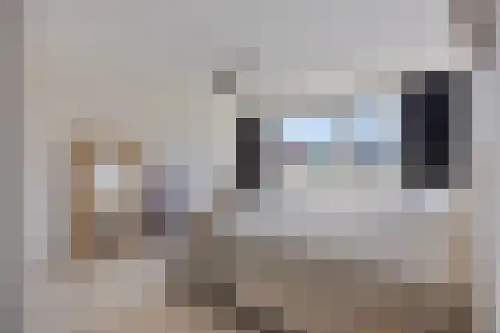 Karekiet 12 Sint Pancras thumbnail 23