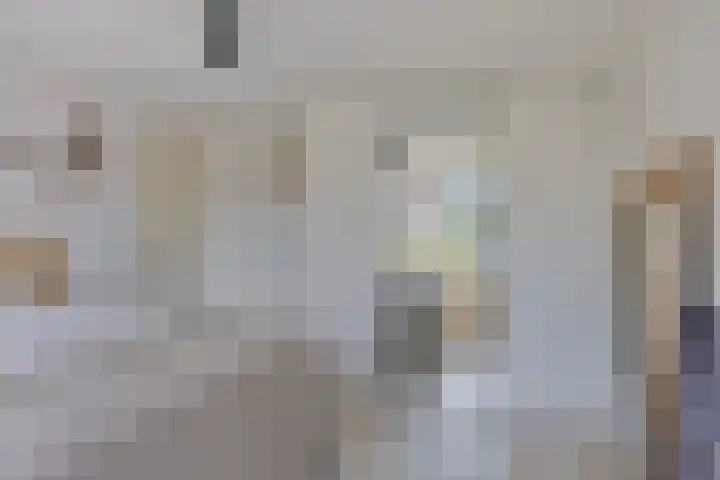 Karekiet 12 Sint Pancras thumbnail 24
