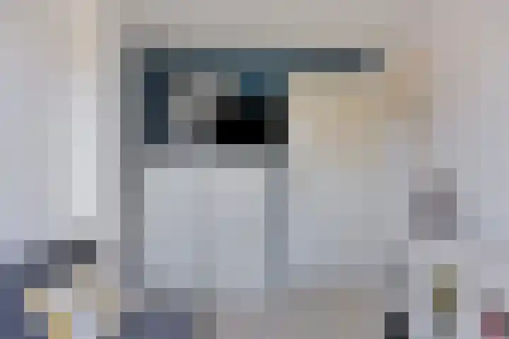 Karekiet 12 Sint Pancras thumbnail 28