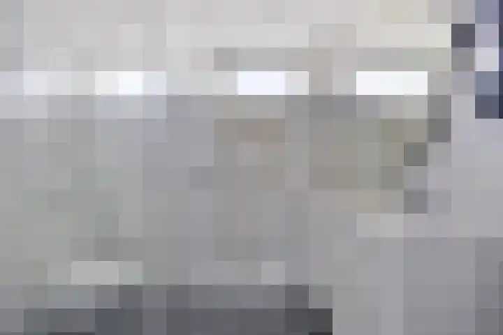Karekiet 12 Sint Pancras thumbnail 29