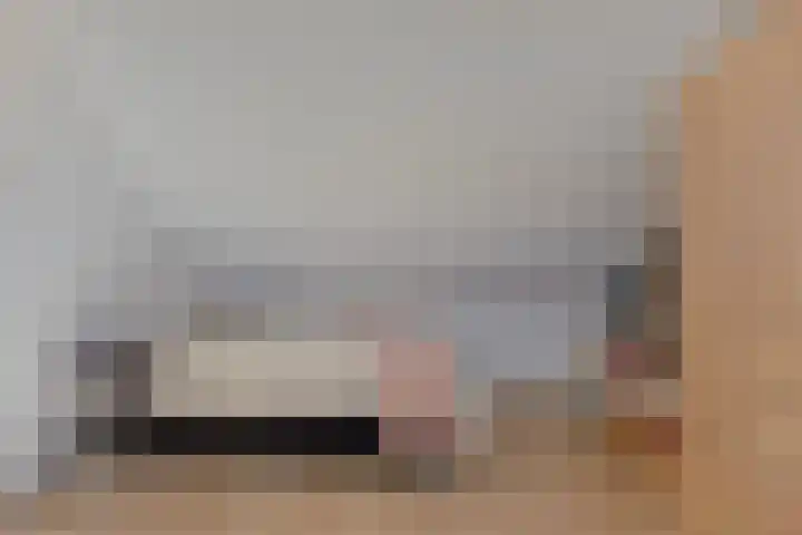 Karekiet 12 Sint Pancras thumbnail 31