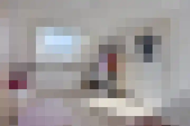 Karekiet 12 Sint Pancras thumbnail 32