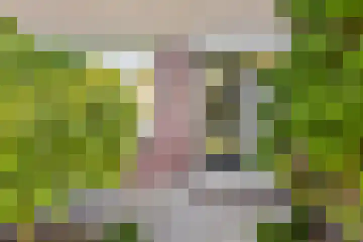 Karekiet 12 Sint Pancras thumbnail 5