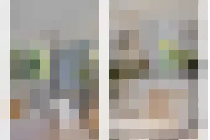 Karekiet 12 Sint Pancras thumbnail 7