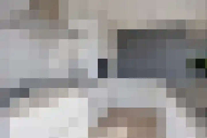 Karekiet 12 Sint Pancras thumbnail 8