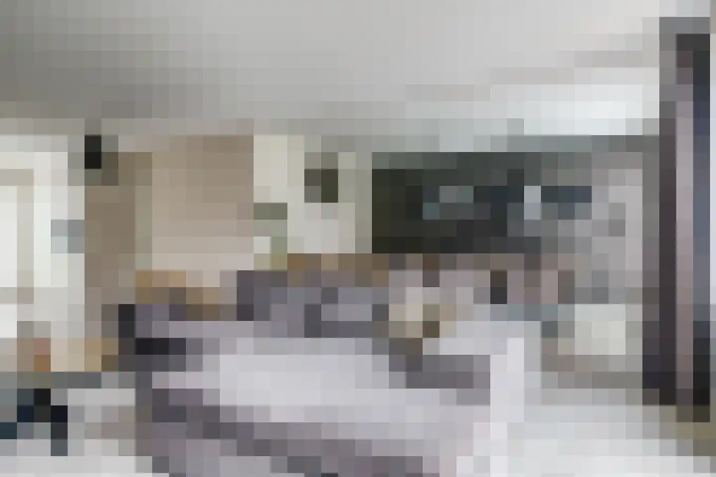 Karekiet 15 Hoogkarspel thumbnail 11