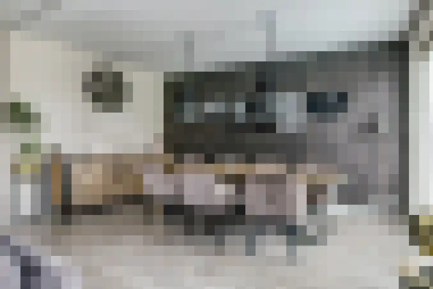 Karekiet 15 Hoogkarspel thumbnail 12
