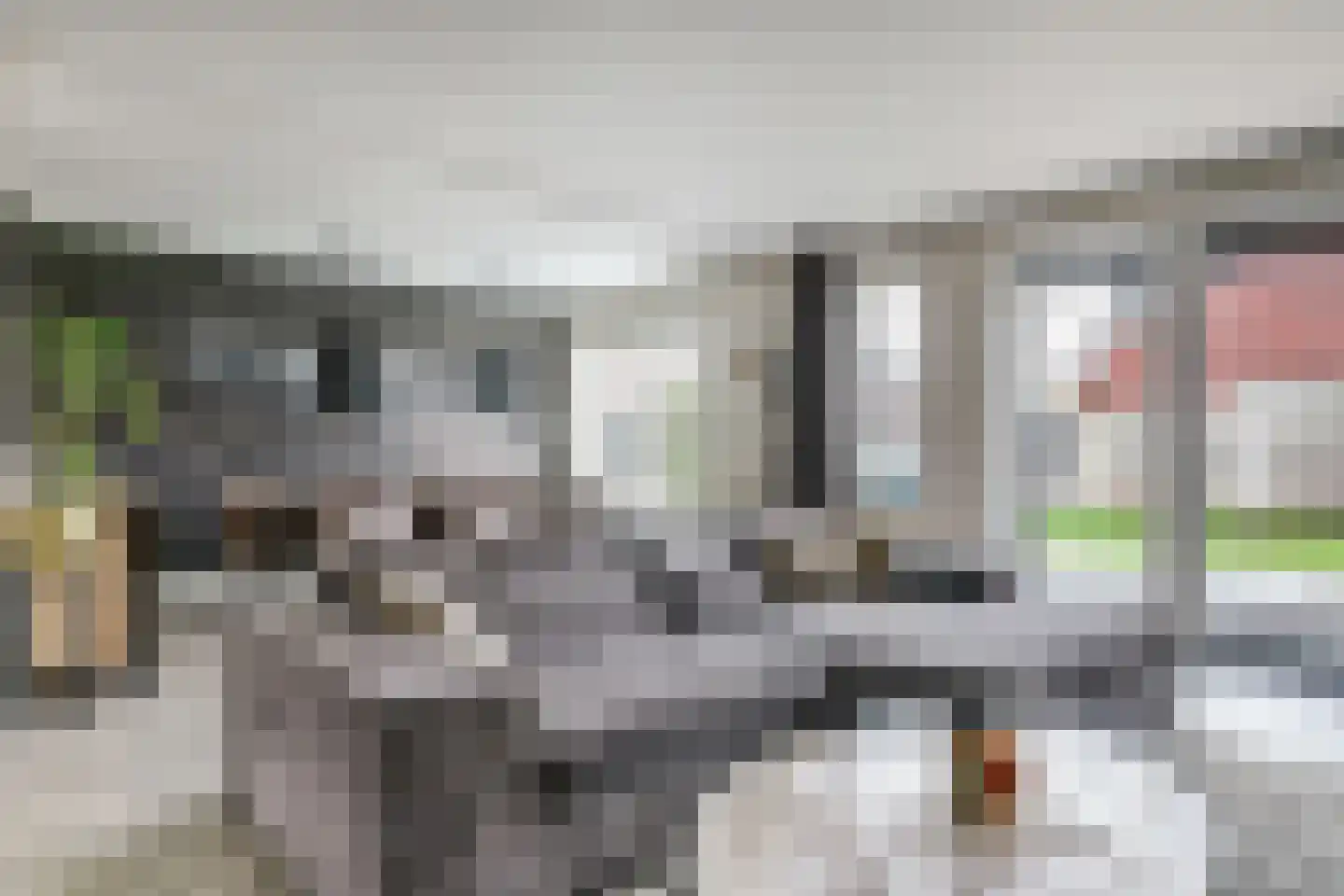 Karekiet 15 Hoogkarspel thumbnail 13