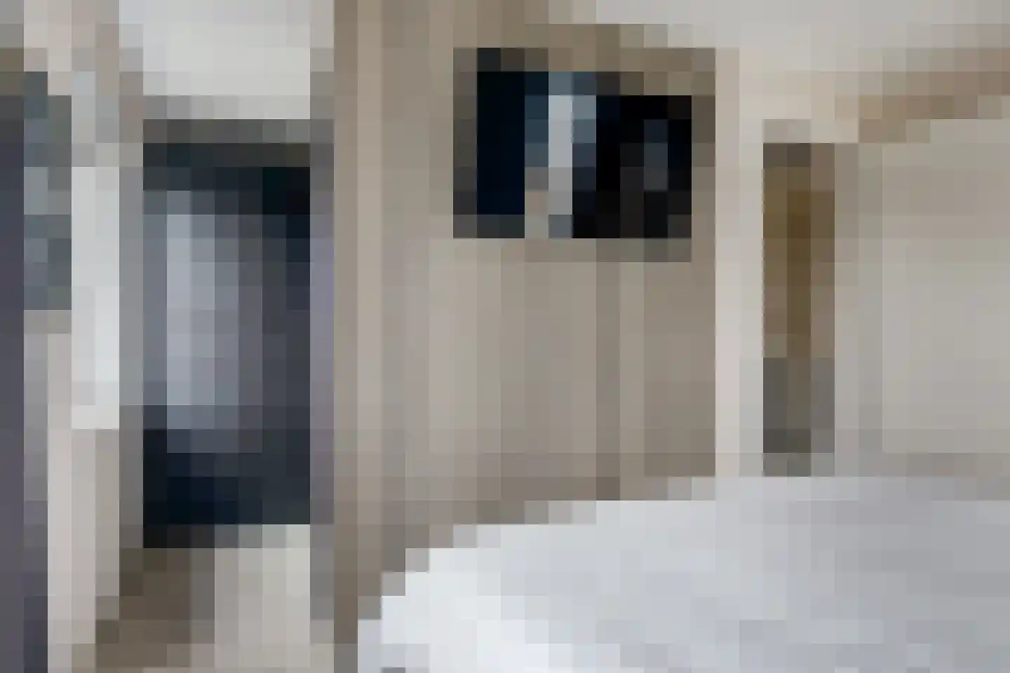 Karekiet 15 Hoogkarspel thumbnail 19