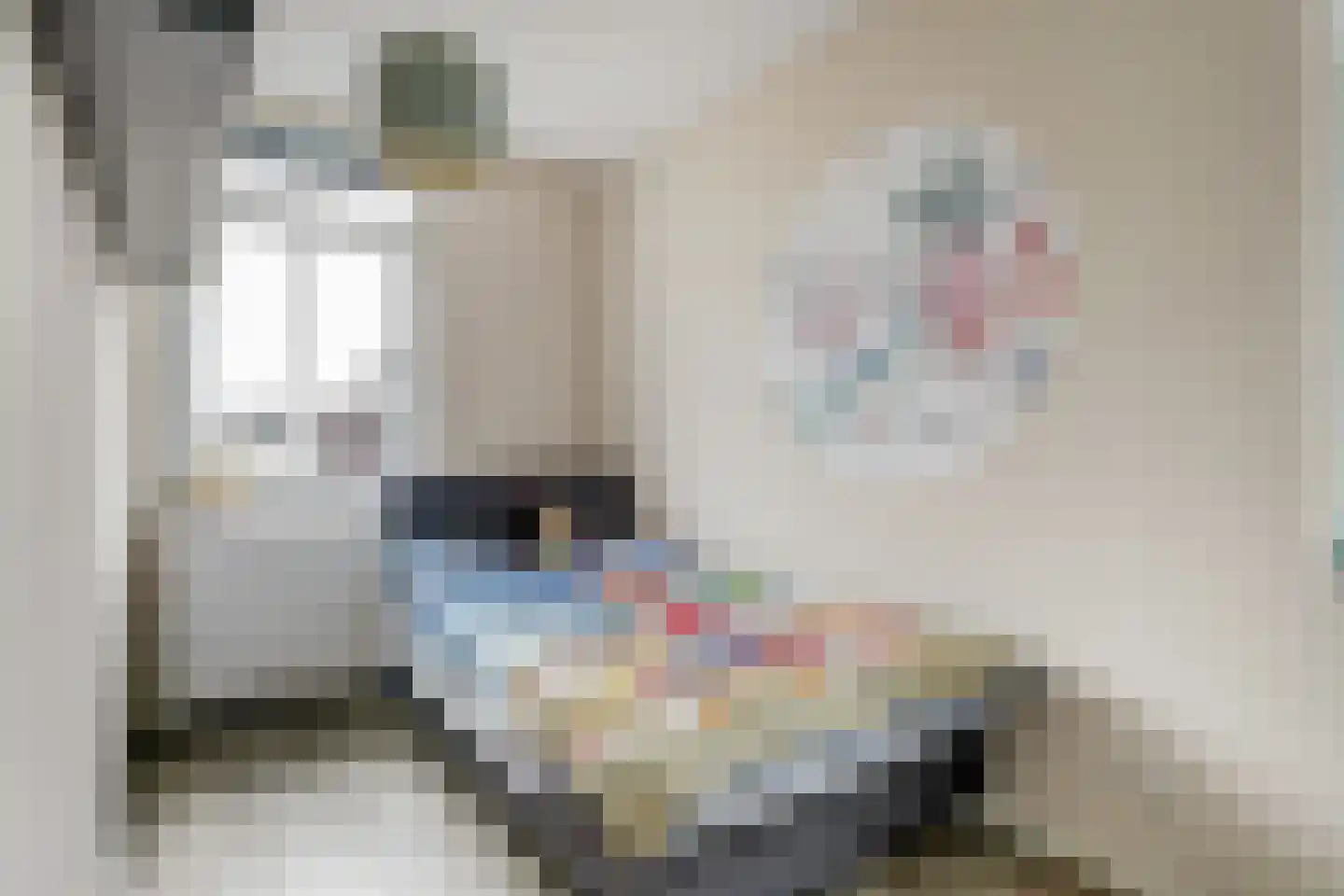 Karekiet 15 Hoogkarspel thumbnail 20