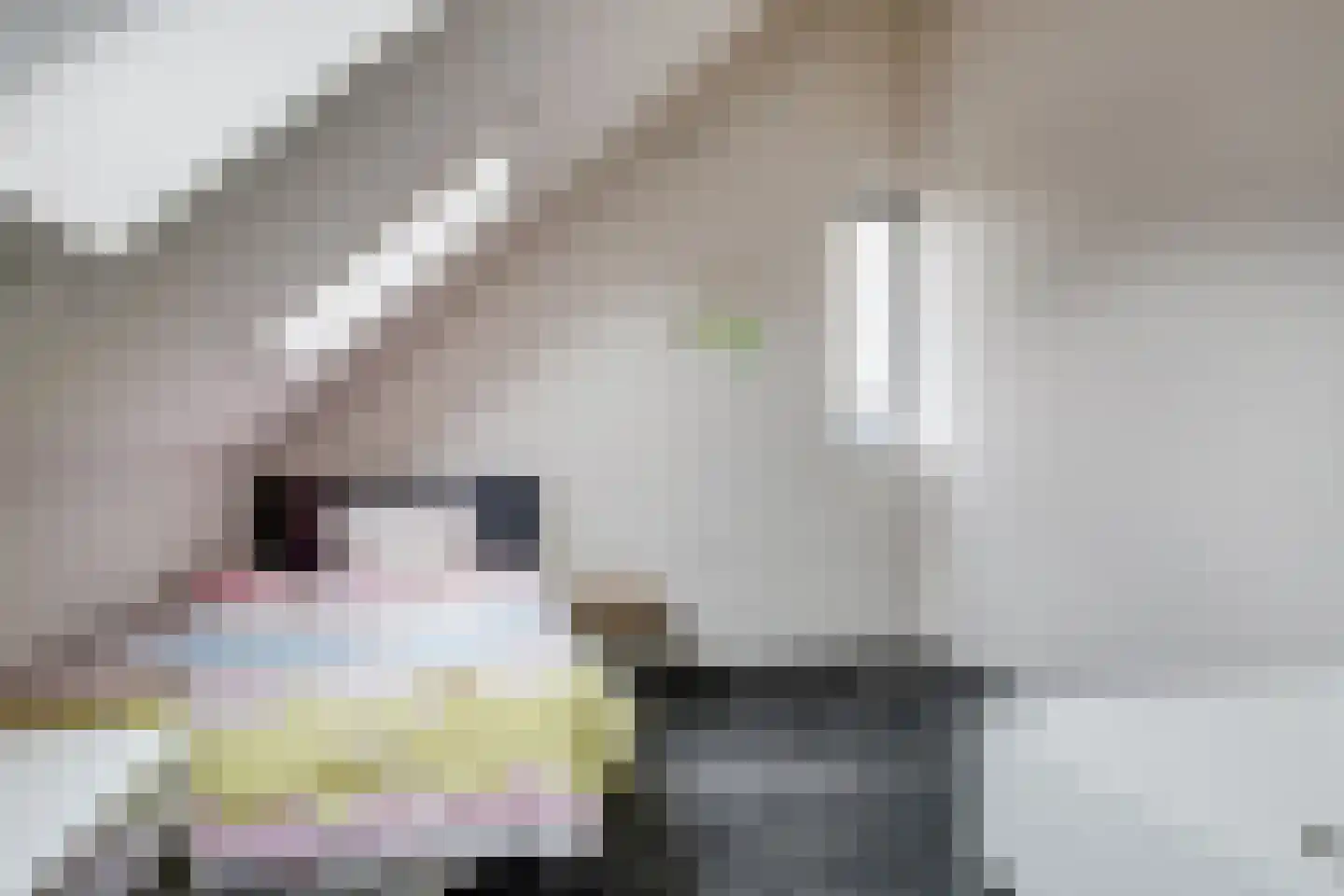 Karekiet 15 Hoogkarspel thumbnail 25