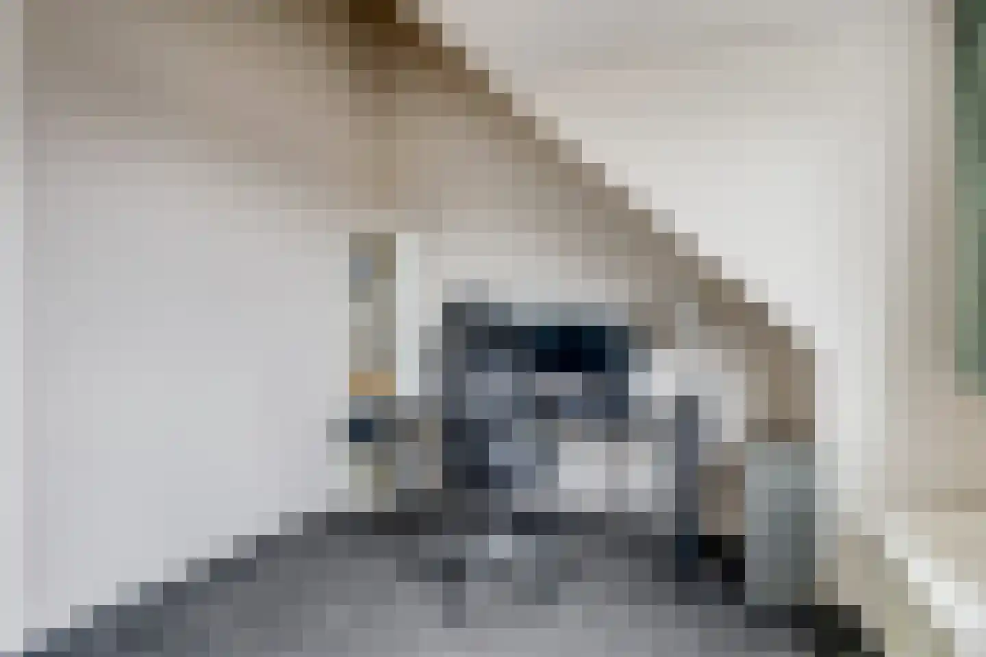 Karekiet 15 Hoogkarspel thumbnail 26