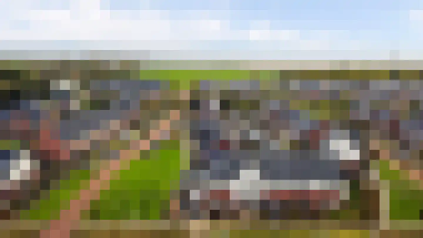 Karekiet 15 Hoogkarspel thumbnail 28