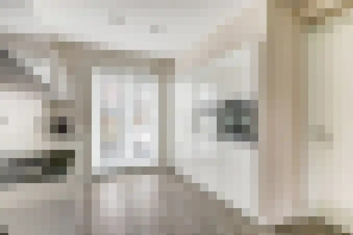 Karekiet 15 Hoogkarspel thumbnail 8
